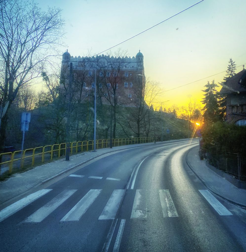 Zamek przy drodze w Golub Dobrzyń